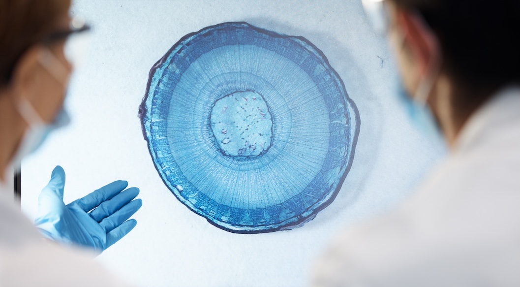 Egg Freezing: When It Makes Sense (and When It Doesn’t)